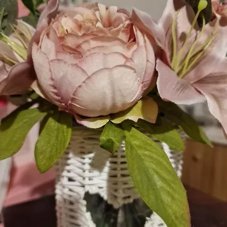 Duna-lak Vendeghaz شقة *