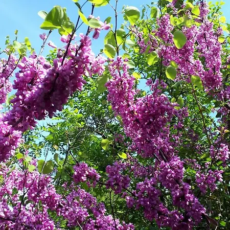 Duna-lak Vendeghaz شقة Apostag