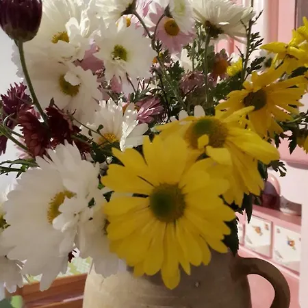 شقة Duna-lak Vendeghaz Apostag